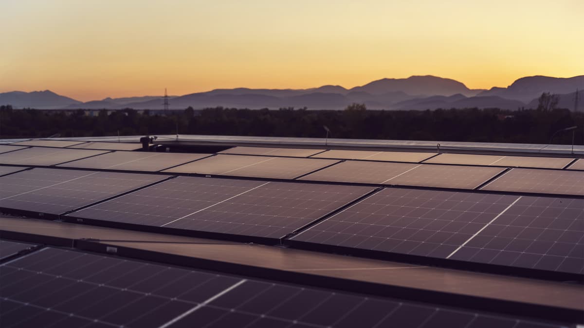 DTRE Sustainability Consultancy