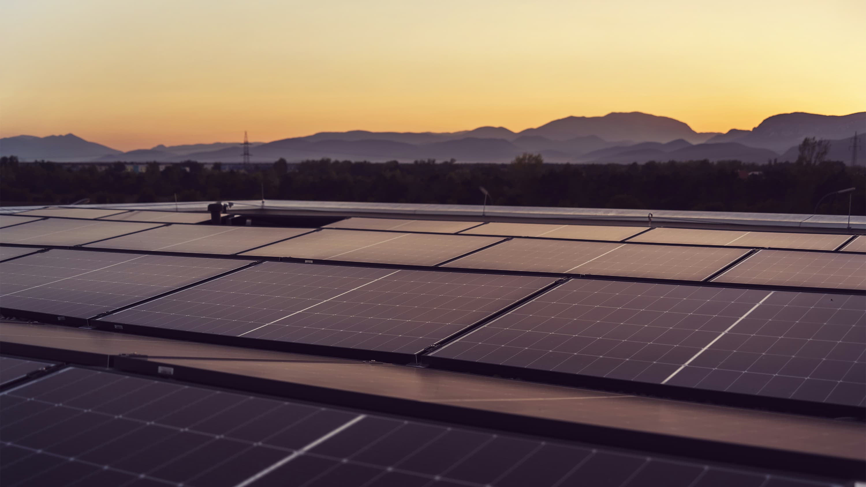 DTRE Sustainability Consultancy