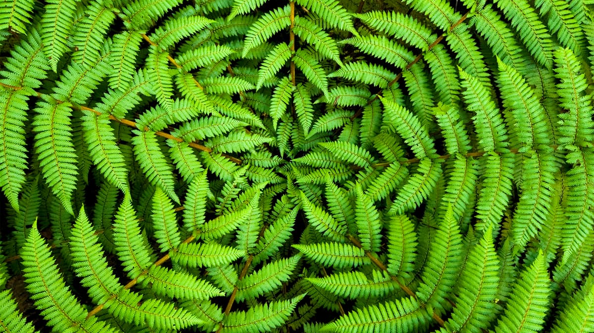 DTRE_SustainabilityRoundtable.