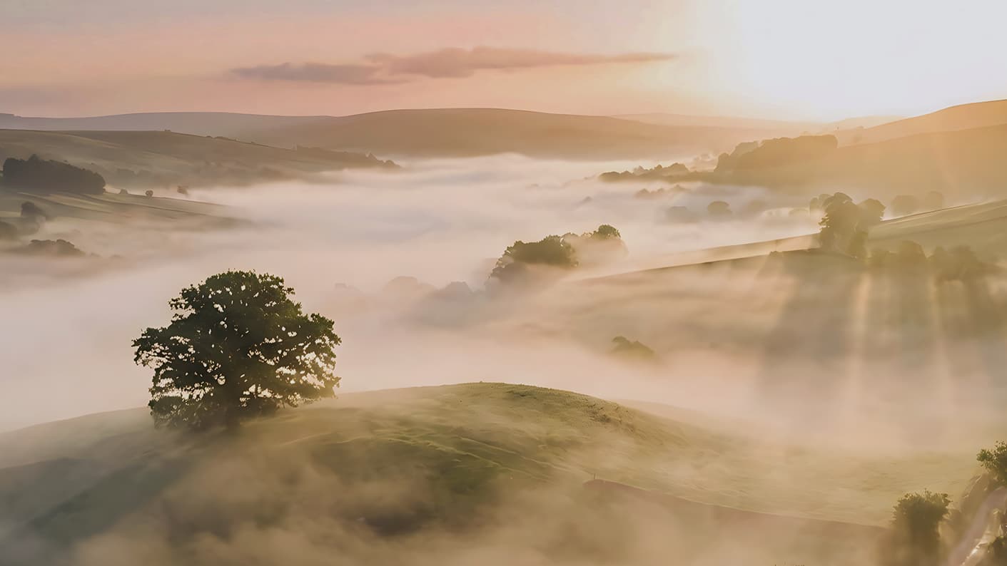 Sustainability_Biodiversity_Net_Gain_Header.jpg